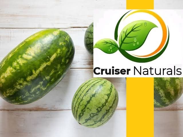 Cruiser Naturals logo